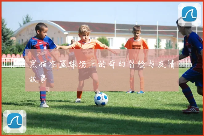 黑猫在篮球场上的奇幻冒险与友情故事