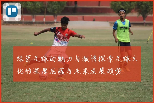 绿茵足球的魅力与激情探索足球文化的深厚底蕴与未来发展趋势