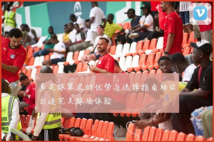 真足球草皮的优势与选择指南助你打造完美球场体验